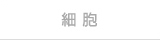 細胞・菌