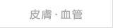 皮膚・血管