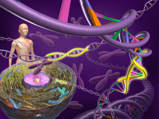 再生医療  幹細胞 肝臓 培養 新生血管 皮膚  染色体 神経細胞 DNA iPS細胞 増殖  ES細胞 造血幹細胞 遺伝子治療 分化  骨髄移植 クローン作成 臓器培養 養殖 表皮細胞 歯胚再生 角膜移植 シャーレ ドナー 骨芽細胞 脂肪細胞 軟骨細胞 歯髄細胞バンク 骨髄バンク 体性肝細胞 人間 バイオ 細胞シート 培養皿 人工多能性幹細胞 温度応答性細胞シート