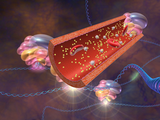 血管産生  タンパク質複合体 DNA ゲノム 赤血球 白血球 血小板 幹細胞 二重らせん 
  RNA 複合体 