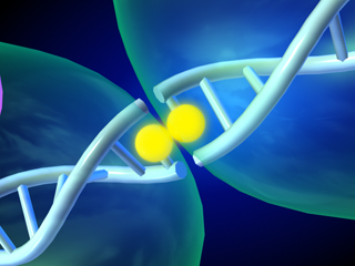 DNA�ؒf