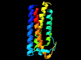 DNA